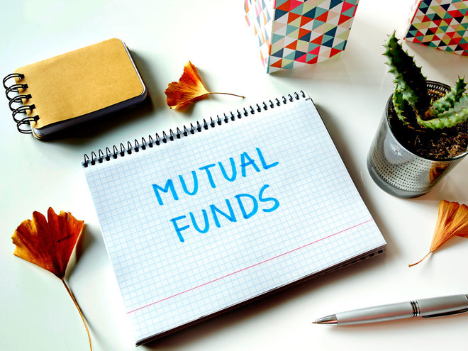 What is the role of mutual fund investors?