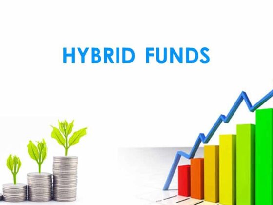 What Are Hybrid Funds and Its Features?