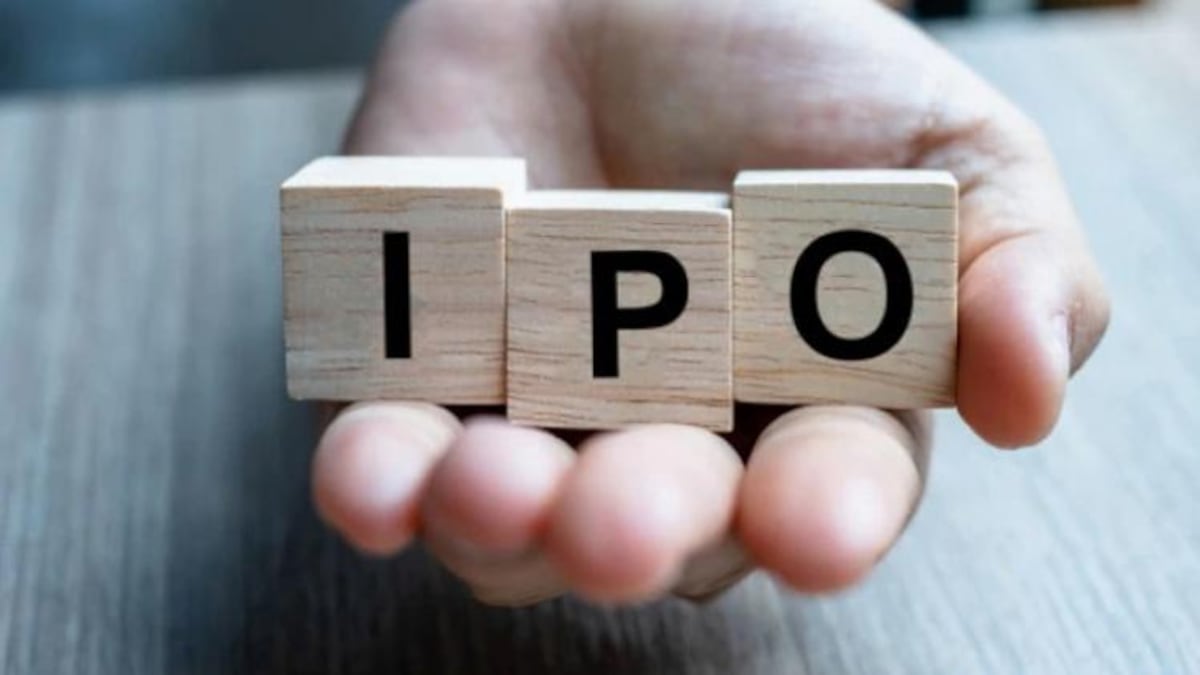 Should You Invest in IPO?