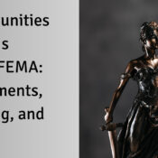 Opportunities for NRIs under FEMA: Investments, Banking, and More