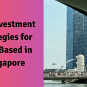 Top Investment Strategies for NRIs Based in Singapore